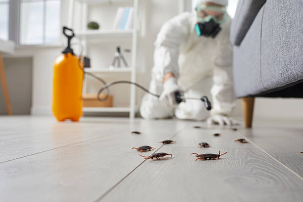 Post-Treatment Bed Bug Interceptor Monitoring in Sparta