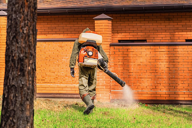 Bed Bug Clearance Verification and Documentation in Sparta